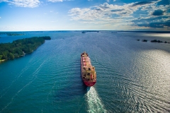 Federal Maas bulk carrier on the St. Lawrence river